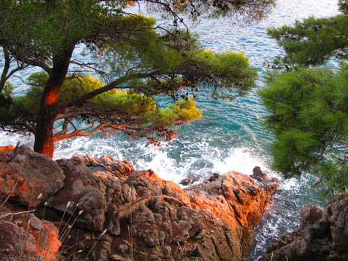 Набережная вдоль скалистого берега в районе Лапад в Дубровнике. Фото: Balkanpro.ru